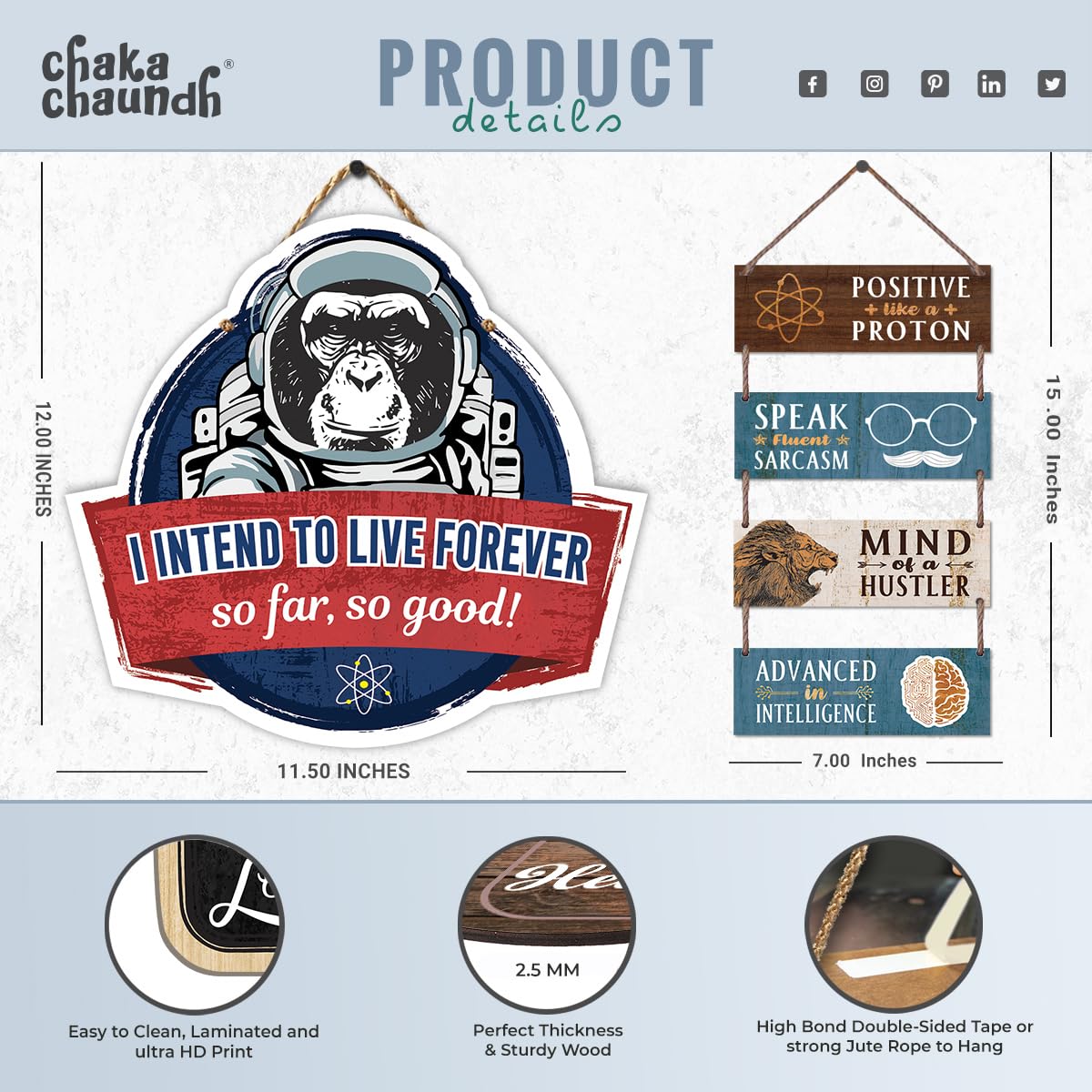 Homosapien Funny plaques