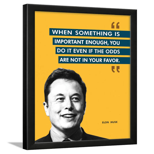 Elon Musk Quotes